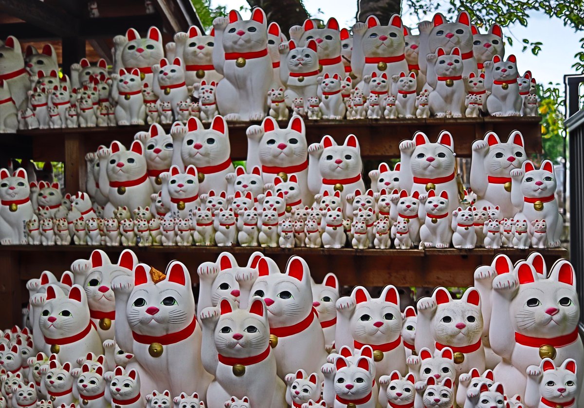 庄司 巧 9月29日 招き猫の日招き猫発祥の地 東京 世田谷 豪徳寺へ 数多くの招き猫奉納されているのは圧巻でした 招き猫 豪徳寺 招き猫の日 の 庄司 巧 9月29日 招き猫の日招き猫発祥の地 東京 世田谷 豪徳寺へ 数多くの招き猫奉納されているのは圧巻でした 招き猫 豪徳寺 招き猫の日 の