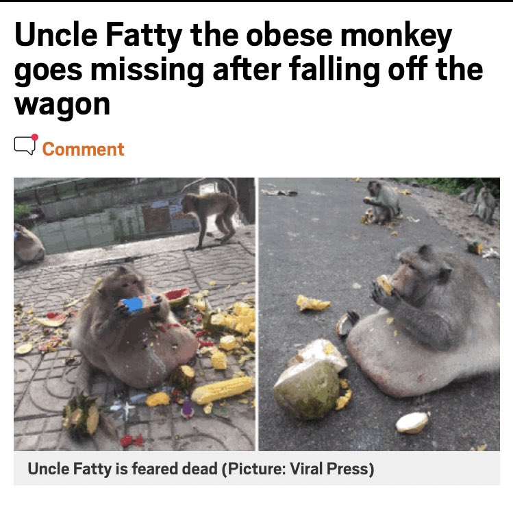 3. Uncle fatty 11/10 - I think about him every day - i hope he is out there living free and fat