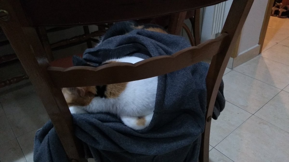 NanaLiteraria's tweet photo. SE HA TAPADO ELLA SOLA CON LA SUDADERA ME MUERO DE AMOR https://t.co/0CXPsxNDmZ