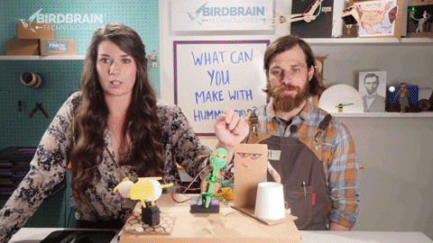 Eduporium's tweet image. Free Video PD for Teaching with the @birdbraintech Hummingbird Bit Kit. Learn more: edupr.io/1y8b62f #edtech #teachertools #PD