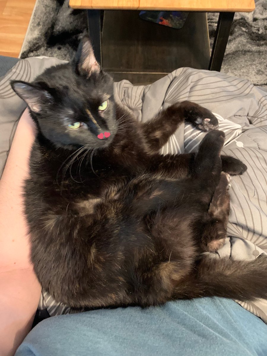 MeraxesCat's tweet image. teheeehe..,., ifele ready fore fall,!!!!! 🍂 🥰