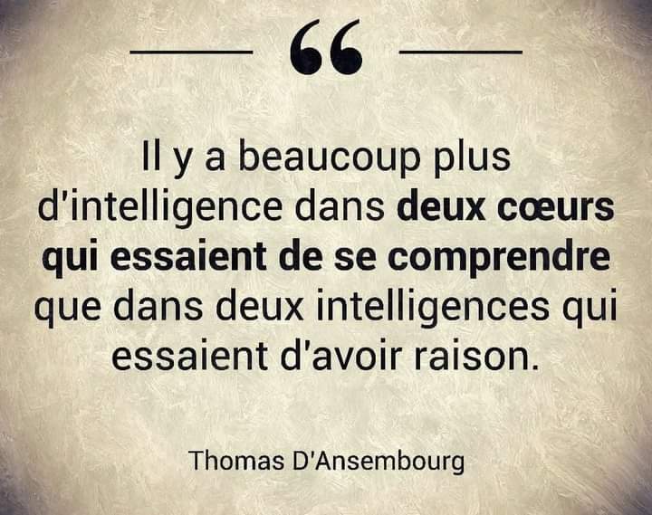 Culturavox Que Vous Ayez Raison Ou Non Essayez D Abord De Comprendre L Autre Intelligence Coeur Essai Comprendre Decouverte Autrui Prochain Avoir Raison Patience Bienveillance Respect Diversite Social Philosophie