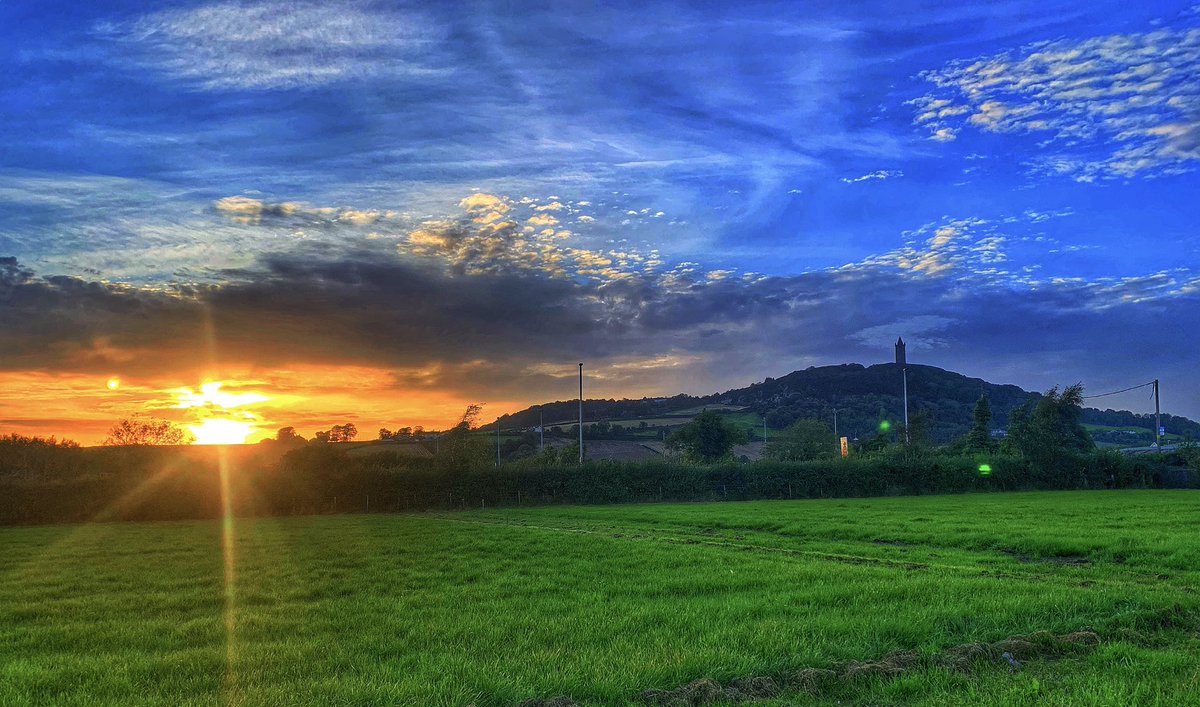 Peninsula Kelp company (@companykelp) on Twitter photo 