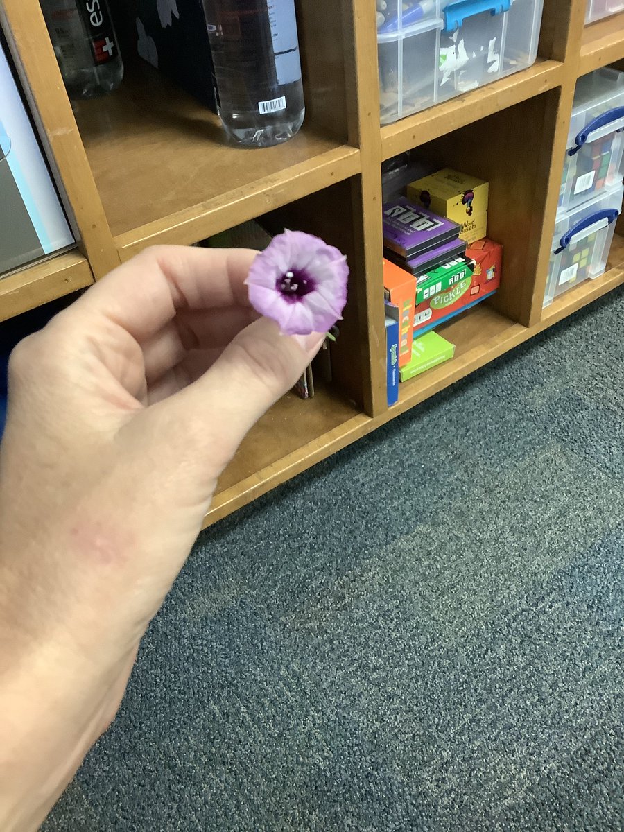 Marnie Ward tweet media