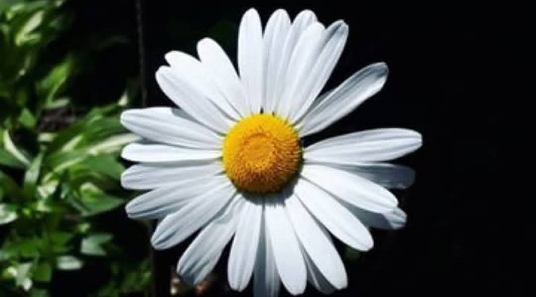 MT47020110's tweet photo. "Her kul bir gün gerçek hayata dönecek. Dünya teşkalesine dalıp, Allah'ı unutanlar sanmasın ki Allah unutuyor seni. Yaptıkların yapacakların amel defterine işliyor. Önemli olan Salih amel işleyenlerden ol.."🕊️ https://t.co/8FCPYF45cJ