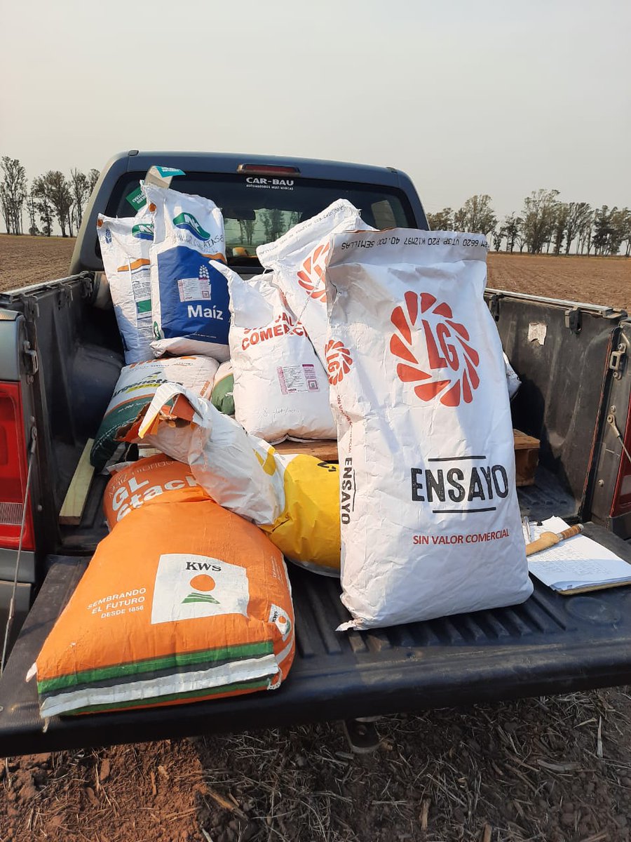 lgsemillas's tweet photo. Seguimos #GenerandoInformacion ensayo Asc. Ing. Sudeste de Cba. La Carlota. #LiderLG Las Tapas. 💪💪💪
#SomosLG
#Deproductoraproductor https://t.co/O2ADh9iwqJ
