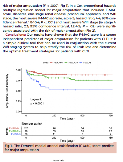 EfeOzturkDPM's tweet photo. RT @jmills1955: Ferraresi MAC score presented at #WVS2020 today by UCSF group #ComprehensiveVascularCare #SoMe4Vascular #VascTwitter https://t.co/4UndSUVLZ2