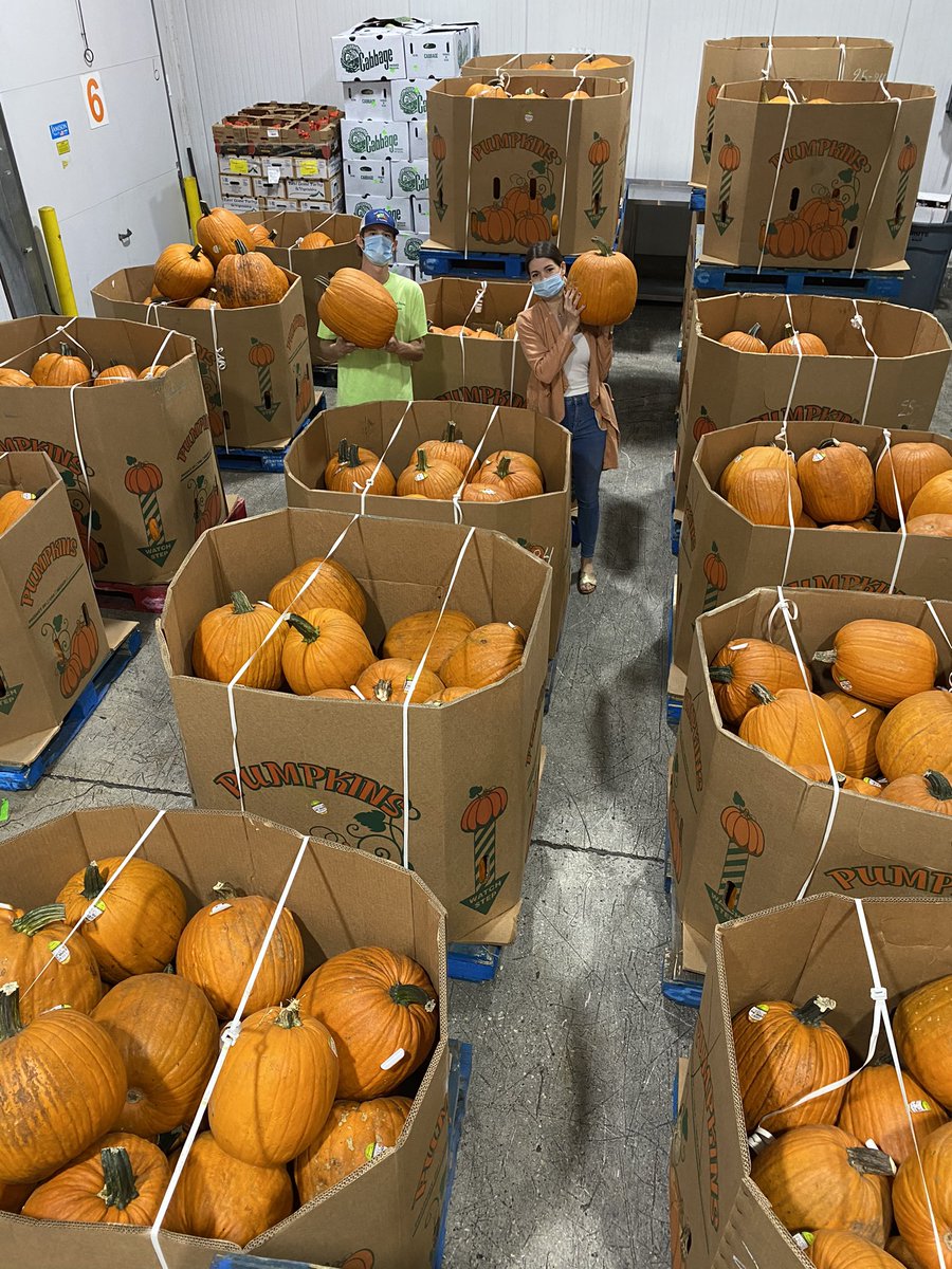 farms_east's tweet photo. Pumpkins have arrived https://t.co/0SlZnu094G