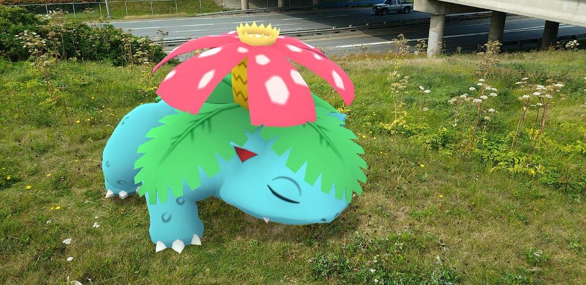 Closing in on the completion of my  #Venusaur and I's journey to Best  #PokemonGOBuddy level, Sprout posed for a final few  #GOSnapshot pics, opting for a drowsy-looking shot in a field. ...which  #Smeargle randomly decided to intrude upon. #PokemonGO  #PokemonGOARplus
