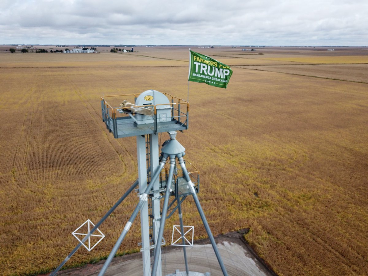 David Mulch tweet media