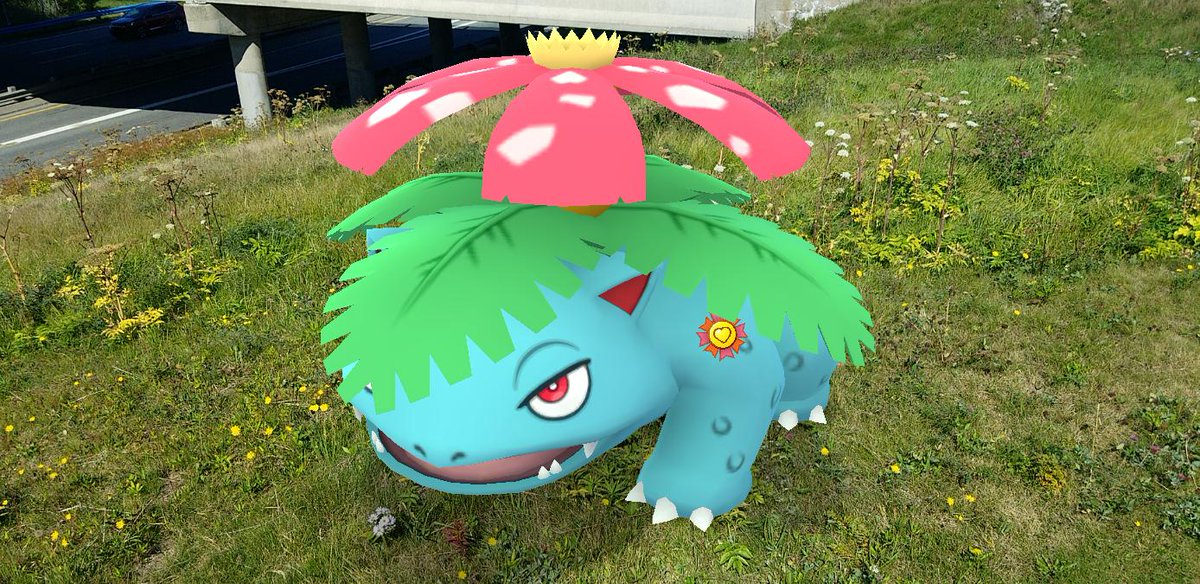 And that, as they say, is that! Sprout the  #Venusaur has become my (I think) 17th  #PokemonGOBestBuddy! I can't wait to Mega Evolve him to see how Mega Venusaur looks wearing the Best  #PokemonGOBuddy ribbon!  #PokemonGO  #GOSnapshot  #PokemonGOARplus