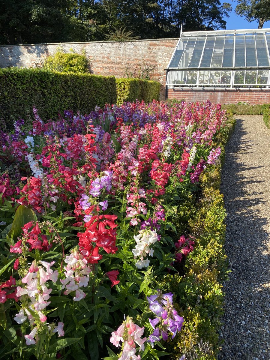 nanafiley's tweet photo. Autumn sunshine in the gorgeous walled garden 
⁦@SewerbyHall⁩ https://t.co/KLMvNgNV5w