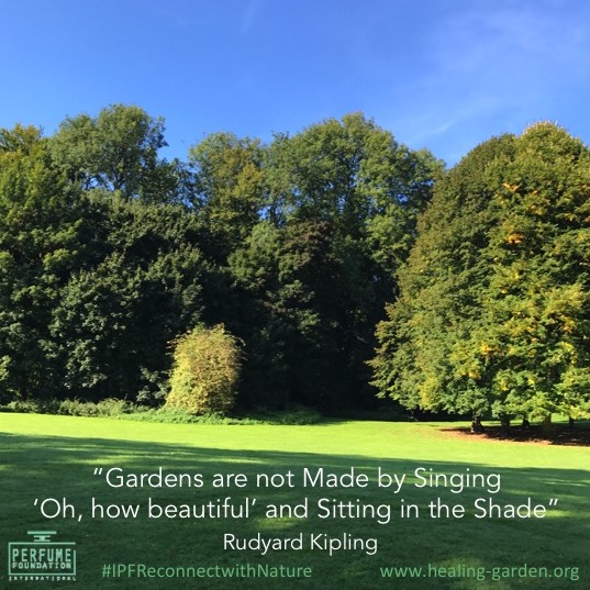 Perfumotherapy's tweet photo. Reconnect with Nature, Join our Healing Garden FB page and follow us. https://t.co/ai7zyd3yP0
#natural #perfume https://t.co/71sqpc1Fgp