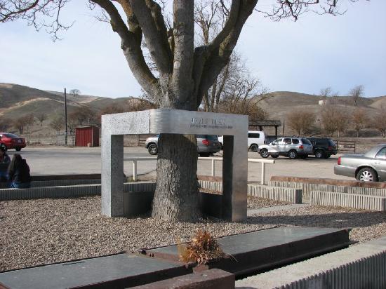 fronto-lateramente contra un sedán Ford y murió instantáneamente.James fue enterrado en el Park Cemetery de Fairmount (Indiana).En 1977 se inauguró un memorial en su honor cerca del lugar del accidente, en Cholame.