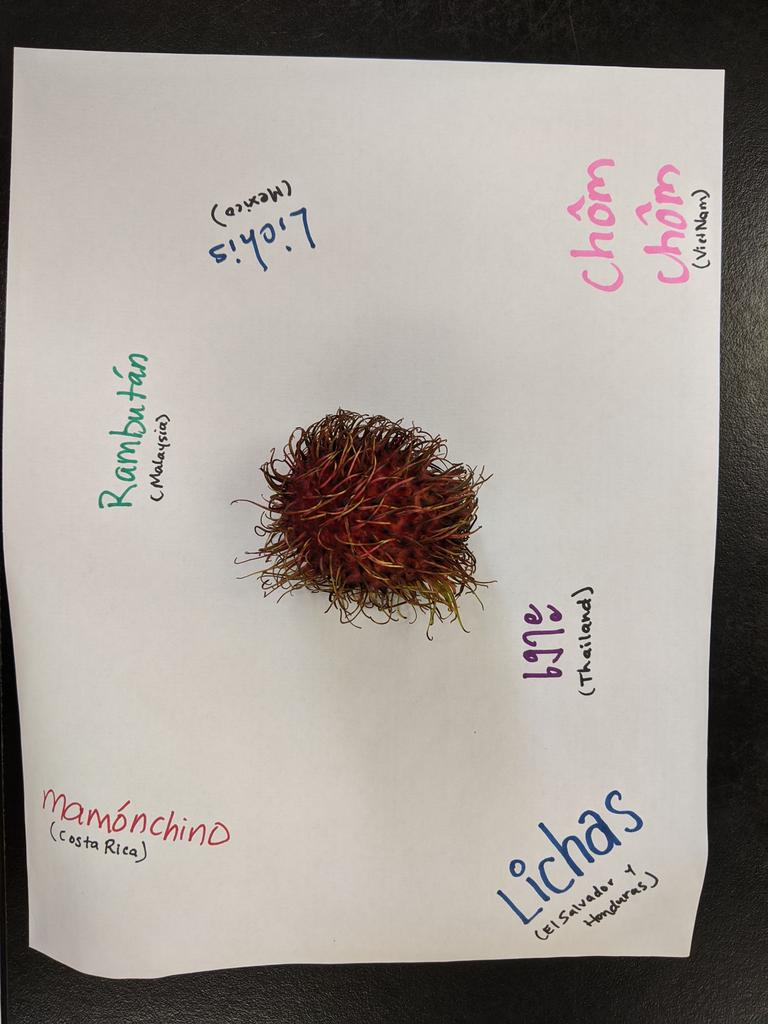 mpazzula's tweet photo. 7 countries, 4 languages, 1 fruit with 6 names. (Students from Venezuela and DR didn't have a word/recognize the fruit) #languagelearning #linguisticdiversity #myELsTeachMe #ELs #ELLs @CHS_BlueEagles @CloverEagles https://t.co/ICFT0wRsku
