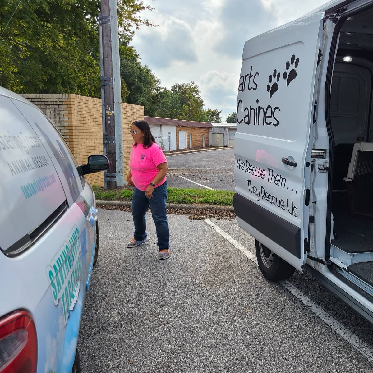 fosteringfoster's tweet photo. Quick afternoon rescue transport for 5 of our dogs. Thank you to Caring Hearts for Canines for loving our dogs as much as we do!
#fosteringfoster #savinglivestogether #collaboration #RescueDogs #AdoptDontShop https://t.co/pwee9VPEN6