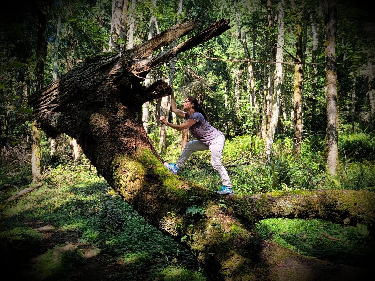 lucianabosio's tweet photo. Here's a picture of me auditioning for GOT or How to Tame your Dragon, whichever hires me first. As you can see my acting skills are amazing (my imagination is at its peak when we're hiking) #squakmountain #mayvalleyloop #hikingadventures @pedrobartes #directorofphotography https://t.co/rPTiWi3Ilf