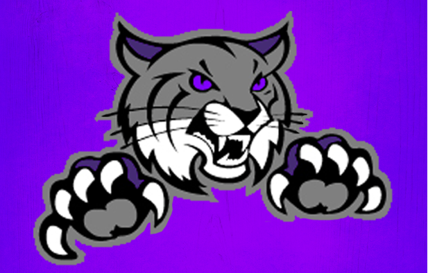 RileyAaron8's tweet photo. Vector for #Tiger π―π
#GraphicDesigner #GraphicDesign #Logo #LogoDesign #logomaker #banners #cartoonart #coverart #screenprinting #VECTORART #Logo #artwork #Vector #GraphicDesigner #GraphicDesign #customerartwork #perfectredraw #creativity https://t.co/jpfZzEx0B4