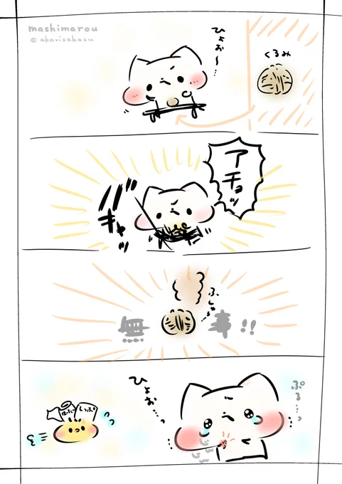 今日は、くるみの日だそうです。
#ましまろう
#くるみの日 