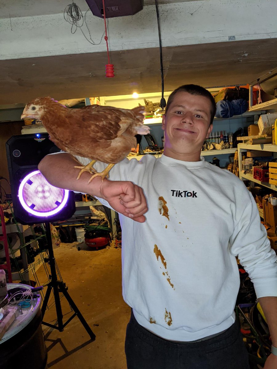 My pet chicken i love her