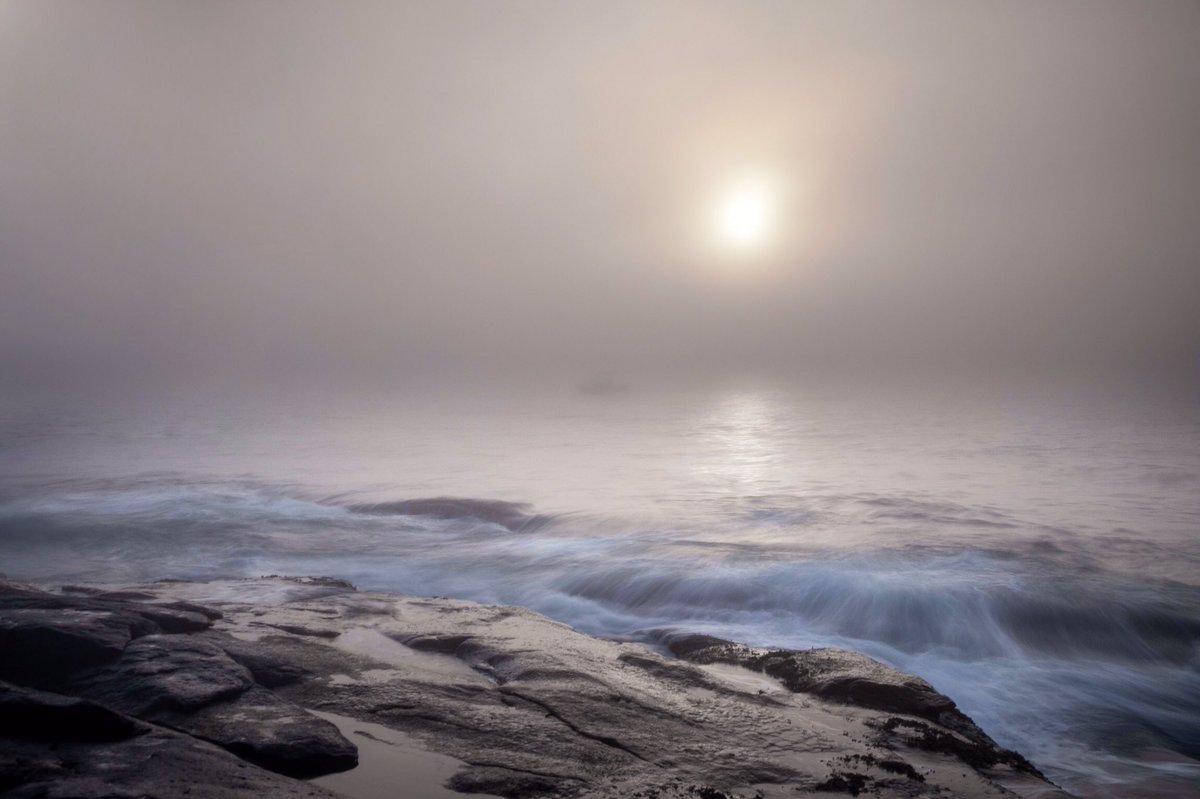 JackvonyTed's tweet photo. Sunday morning foggy sunrise. https://t.co/faB0Q0kvnp