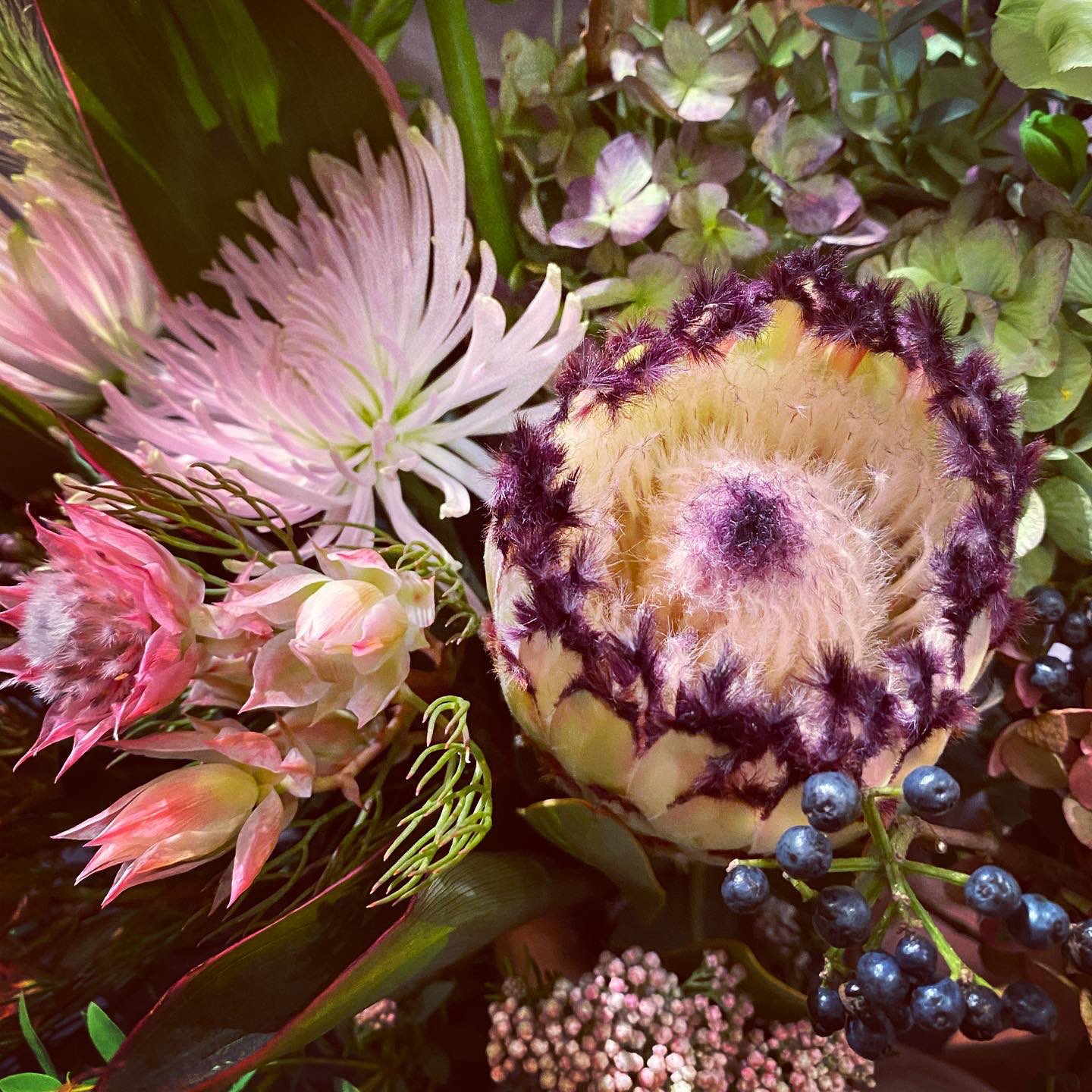 ベリーブーケ Twitter Search Twitter