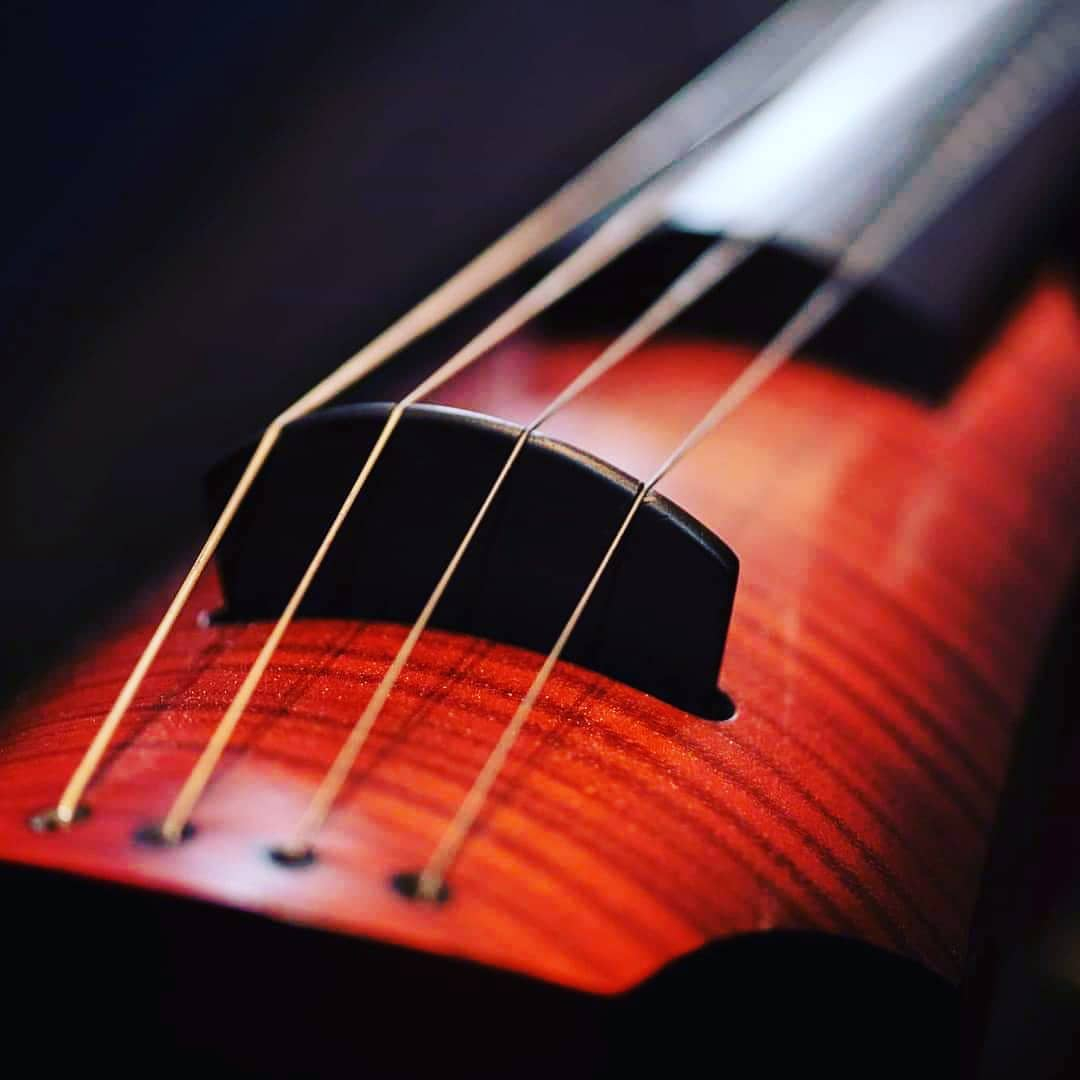 #repost from Jessica Ricard with the NXTa Cello.

Mon violoncelle électrique!
📷 par @erictruchonphoto 
#nsdesign #electriccello #ThinkNS #cello #electriccellist #cellist #NedSteinberger #NXTaCello