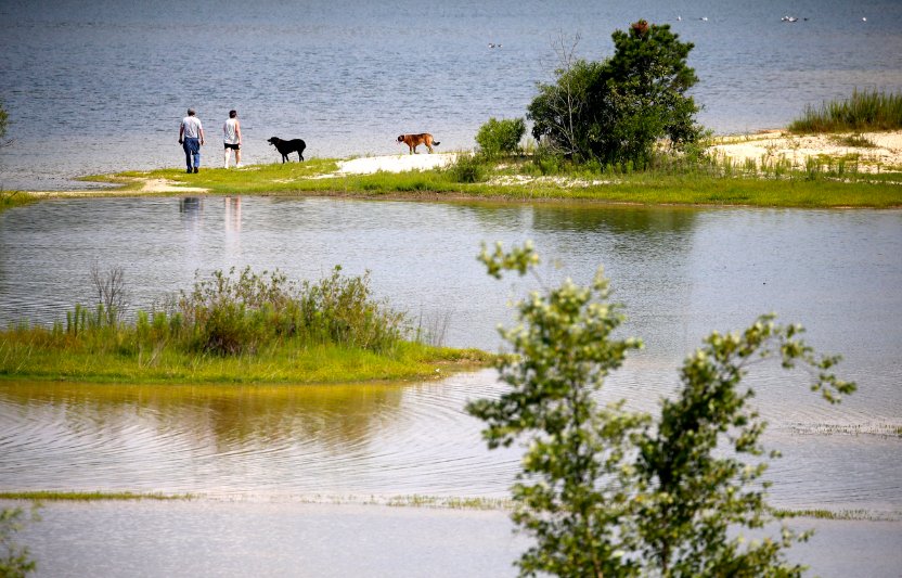 Tim Hawk tweet media