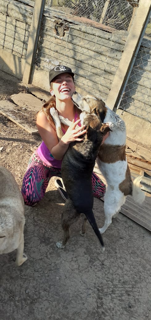 guadavannay's tweet photo. hoy estuvimos en un refugio de Maria Juana en el cual hay 92 PERRITOS en busca de un hogar...
hoy trate con cada uno de ellos y no puedo explicar la alegria y el amor q te brindan estos animales, son especiales❤
#NoAlMaltratoAnimal
#AdoptaNoCompres https://t.co/8QWMyMOoXp
