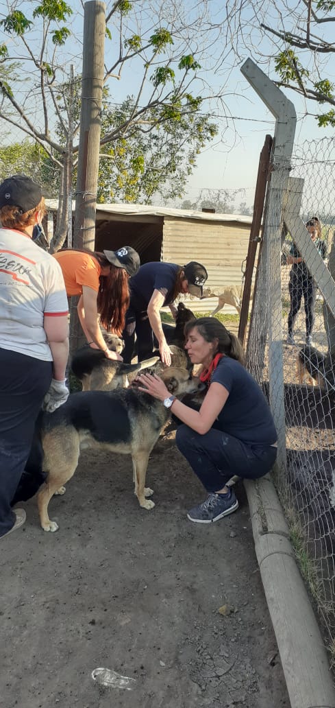 guadavannay's tweet photo. hoy estuvimos en un refugio de Maria Juana en el cual hay 92 PERRITOS en busca de un hogar...
hoy trate con cada uno de ellos y no puedo explicar la alegria y el amor q te brindan estos animales, son especiales❤
#NoAlMaltratoAnimal
#AdoptaNoCompres https://t.co/8QWMyMOoXp