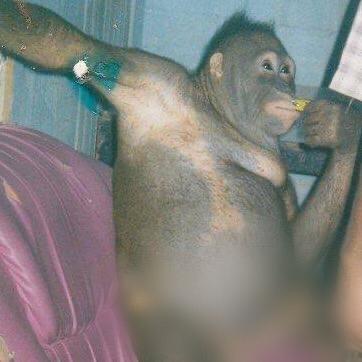 Crimes Reais tweet media