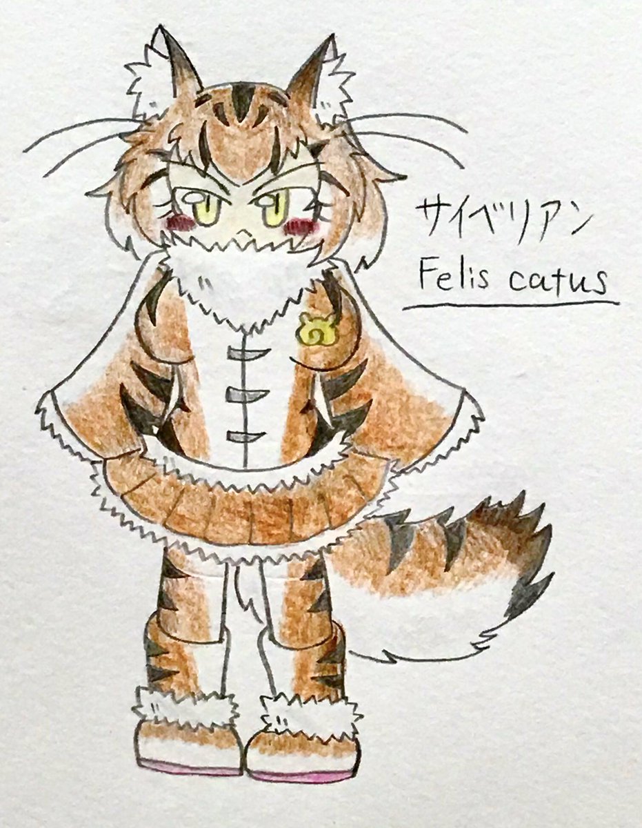 水月 オリフレ サイベリアン ロシアの東部に起源を有する猫の品種 名前もシベリアが由来 長毛種の猫で 体も大きくどっしりとしており 成猫になるまで5年かかる 猫にしては珍しく水を怖がらない 忍耐強く 皆から頼られる姉御肌 厳しい 水月 オリフレ サイベリアン ロシアの東部に起源を有する猫の品種 名前もシベリアが由来 長毛種の猫で 体も大きくどっしりとしており 成猫になるまで5年かかる 猫にしては珍しく水を怖がらない 忍耐強く 皆から頼られる姉御肌 厳しい