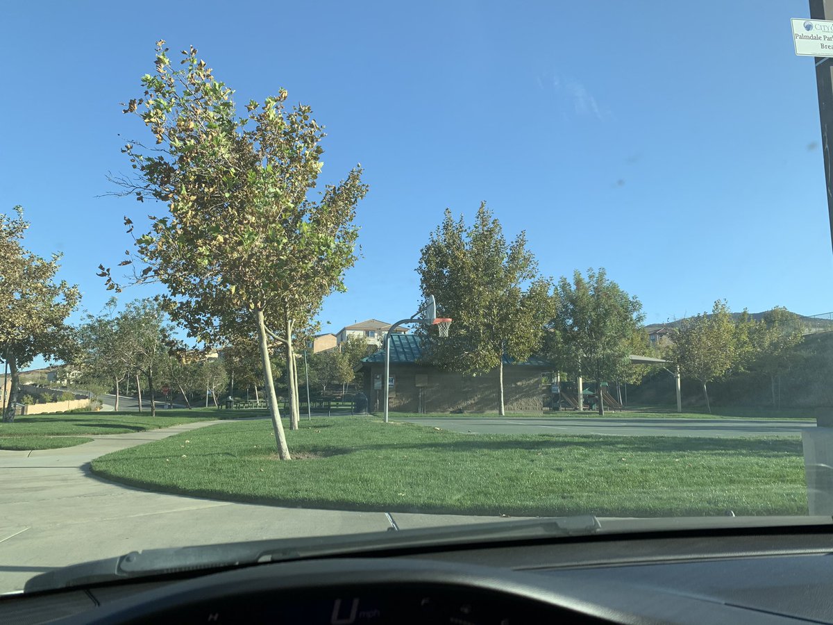 BD23s_'s tweet image. Did an hour hoop workout then played 5 games at the park 🏀 #GettingBackIntoIt