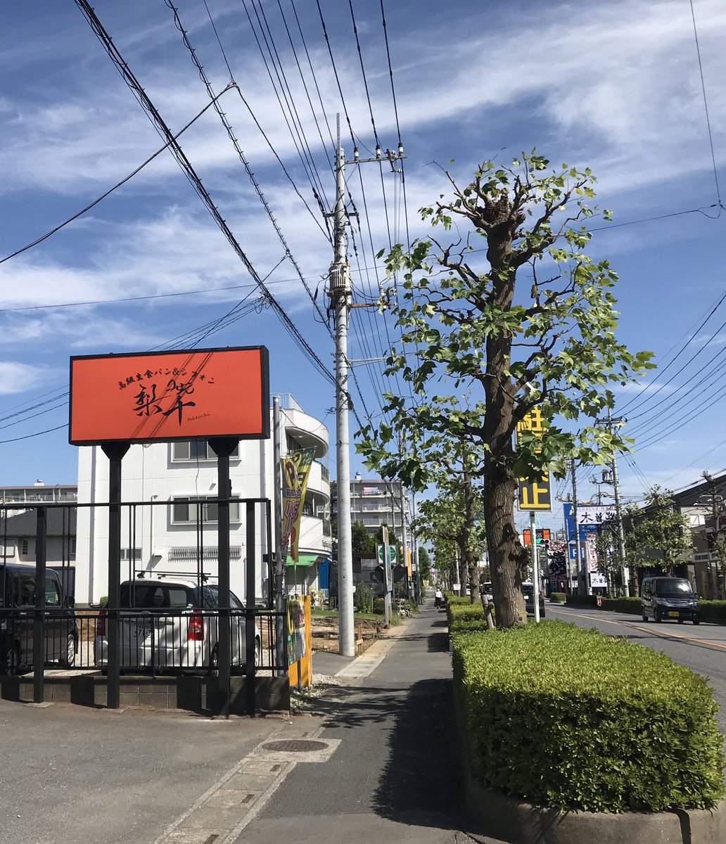 しぃたけ また高級食パンだ ユリノキ通り ブロンコビリーの向かい 梨千 高級生食パン シフォンケーキ 春日部 食パン しぃたけ また高級食パンだ ユリノキ通り ブロンコビリーの向かい 梨千 高級生食パン シフォンケーキ 春日部 食パン