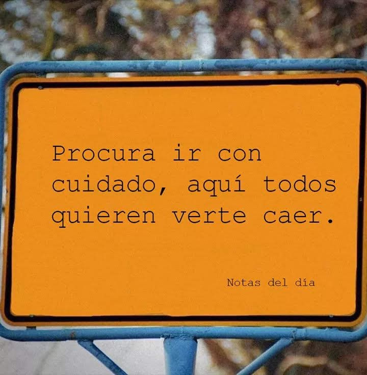 No lo pierdan de vista...