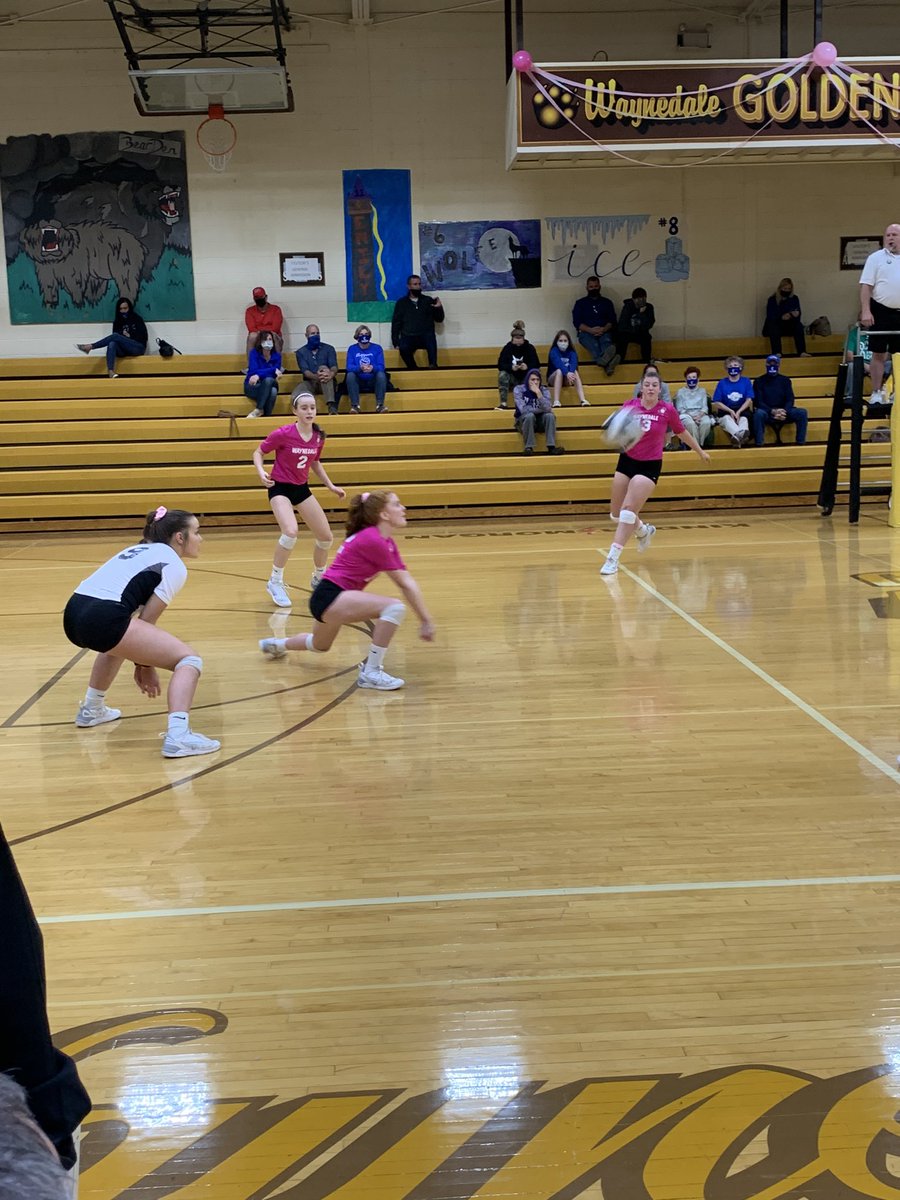 Golden Bears Volleyball tweet media