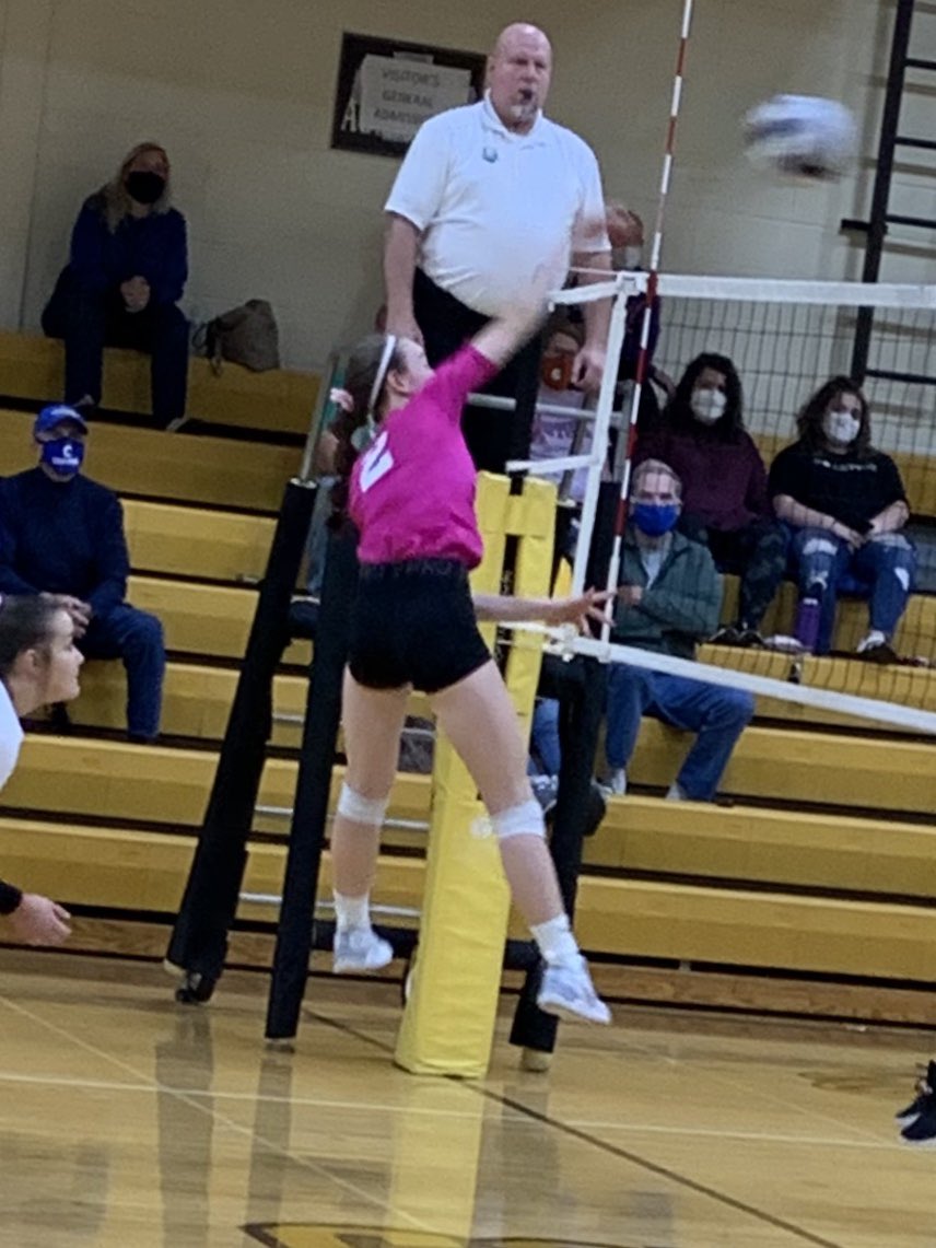 Golden Bears Volleyball tweet media