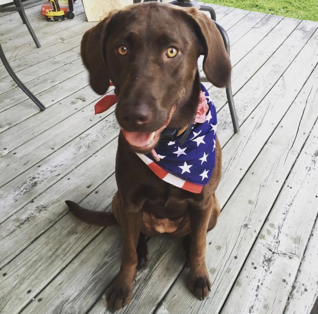 KaileeRaeGraham's tweet photo. #kyaforpresident https://t.co/F4pOTl6kmB