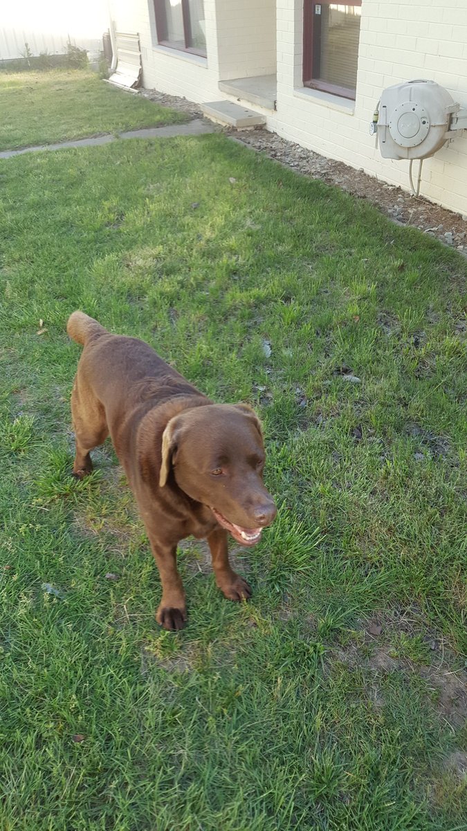 TwoDogHowl's tweet image. I'm asking those who love the outdoors to post a picture. A picture that you took. Just a pic. No description. The goal is to regain peace and harmony without negativity. Please copy the text, put a picture on your page, and let's look at these beautiful pictures.
Here's mine.