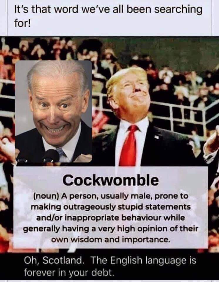 Perfect word for <a href="/JoeBiden/">Joe Biden</a> &amp; <a href="/realDonaldTrump/">Donald J. Trump</a> in #Debates2020 #FakeDebates