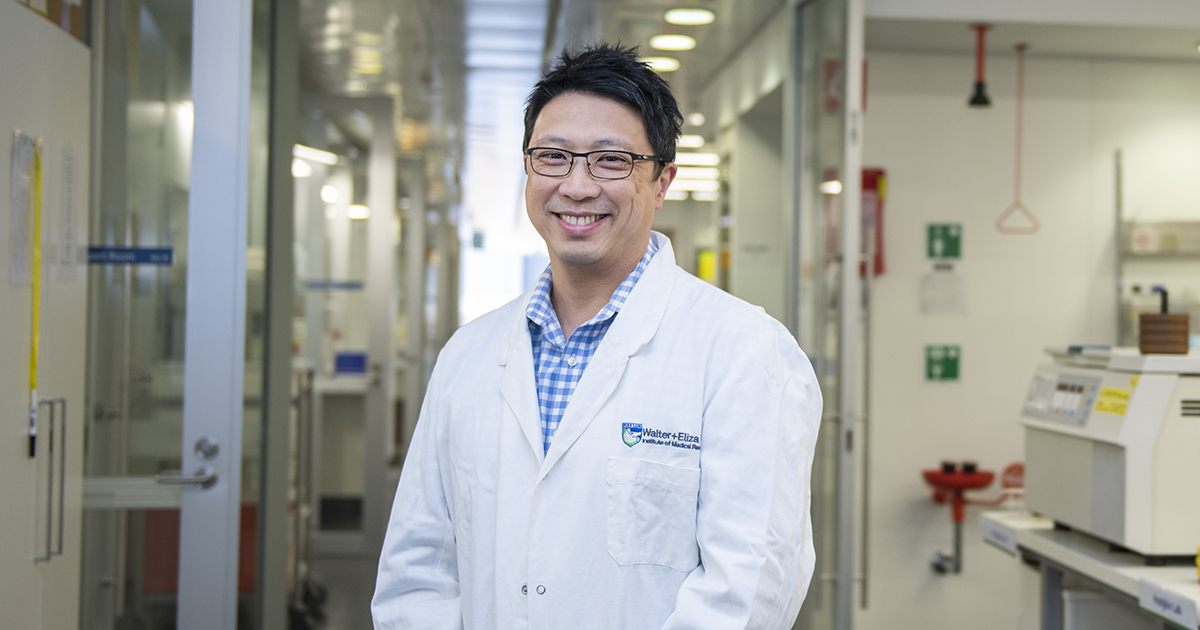 A/Prof Jason Tye-Din heads our #coeliac disease research program. He spoke on ABC News Radio about a new UK study that suggests high doses of gluten could prevent infants from developing celiac disease - but more research is required
abc.net.au/radio/newsradi…