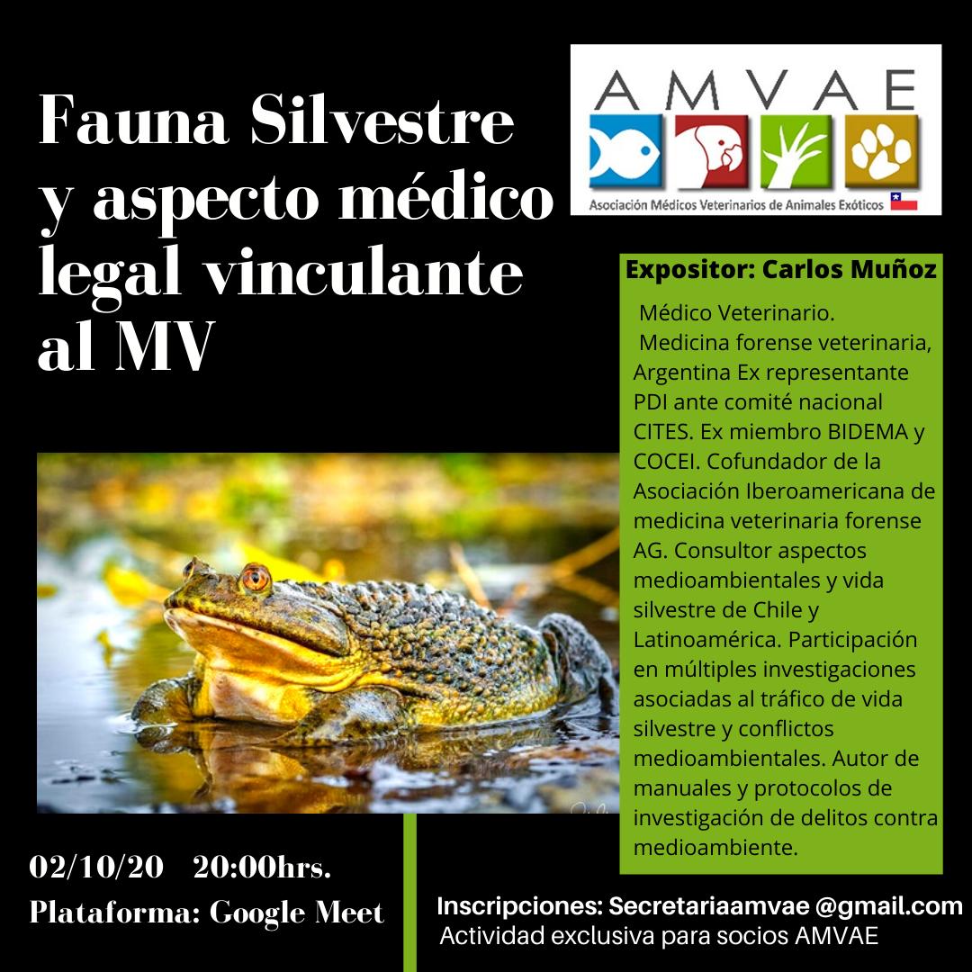 CarlosMuQ's tweet photo. Marco normativo que regula a las mascotas silvestre en Chile @AMVAE https://t.co/znEVbSVGhd