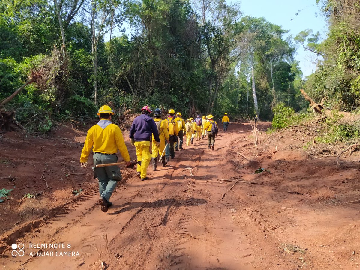 bomberos132tv's tweet photo. Recién tienen señal LOS  VOLUNTARIOS del CBVP que están en la reserva de Mbaracayu, son 45 y así pelearon hoy para salvar el Bosque... https://t.co/KKsI35EmEB