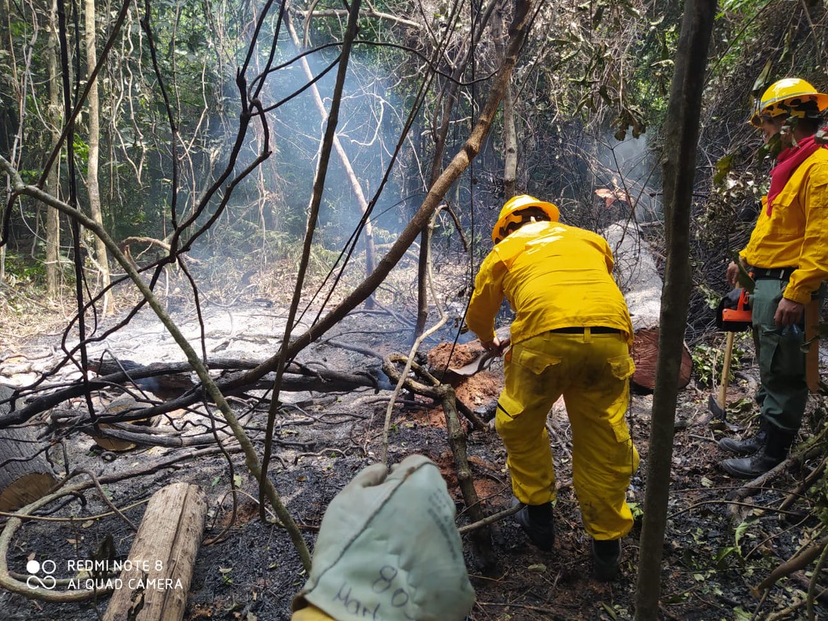 bomberos132tv's tweet photo. Recién tienen señal LOS  VOLUNTARIOS del CBVP que están en la reserva de Mbaracayu, son 45 y así pelearon hoy para salvar el Bosque... https://t.co/KKsI35EmEB