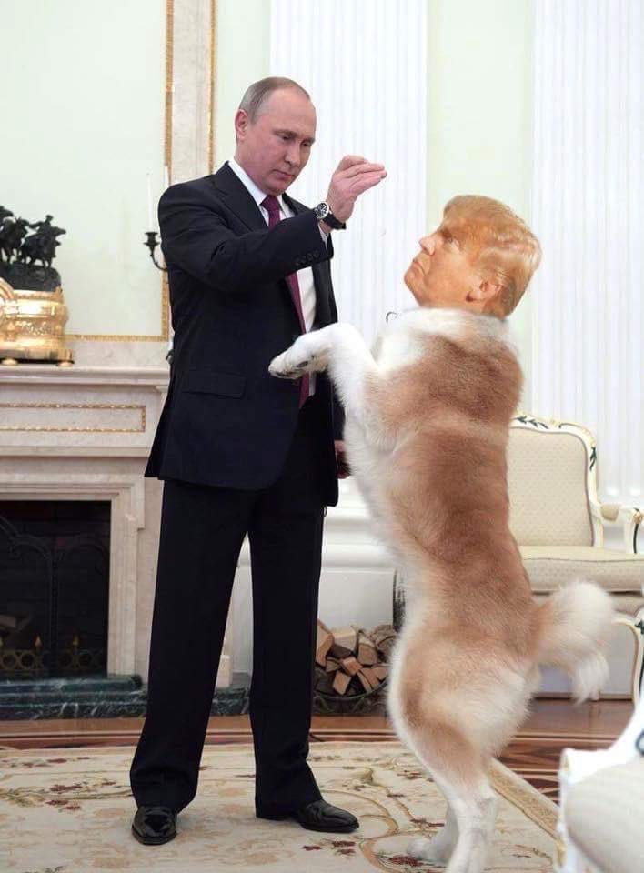 yourbodybible's tweet photo. #PutinSpuppy ... ⁦@JoeBiden⁩ is awesome tonight !!!! https://t.co/zGv77GSaAU