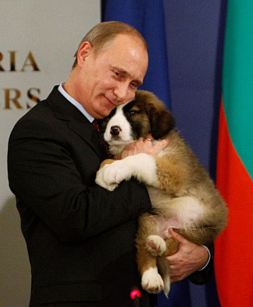 raunchonpizza's tweet photo. #PutinsPuppy is actually a lot cuter ❤️ https://t.co/3VC80BiVoM