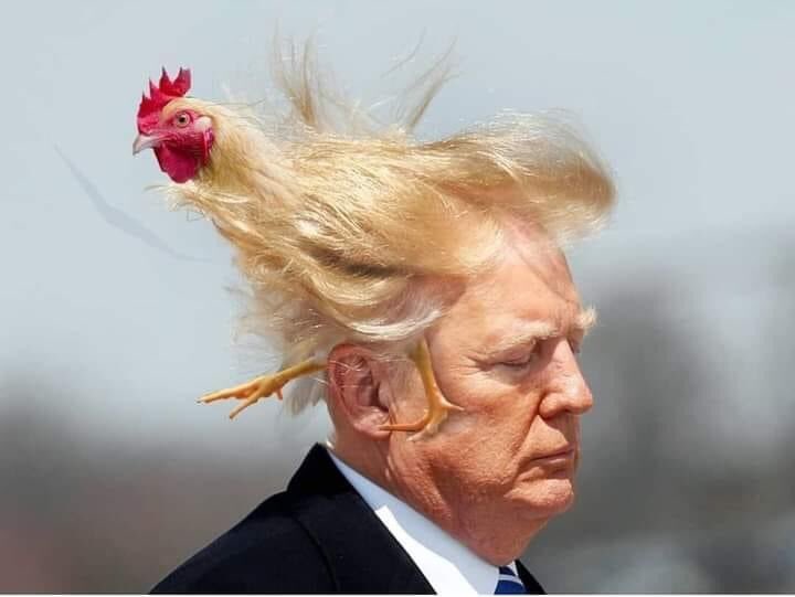 losfluffies's tweet photo. @marcmaron No, but another great show. It's called #potuspos https://t.co/QkZpBwkMSJ
