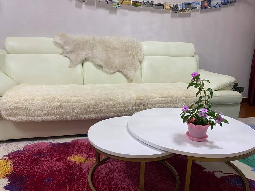 Элдсэн хонины арьсан дэвсгэр 25.000₮. Үнэтэй бна уу?