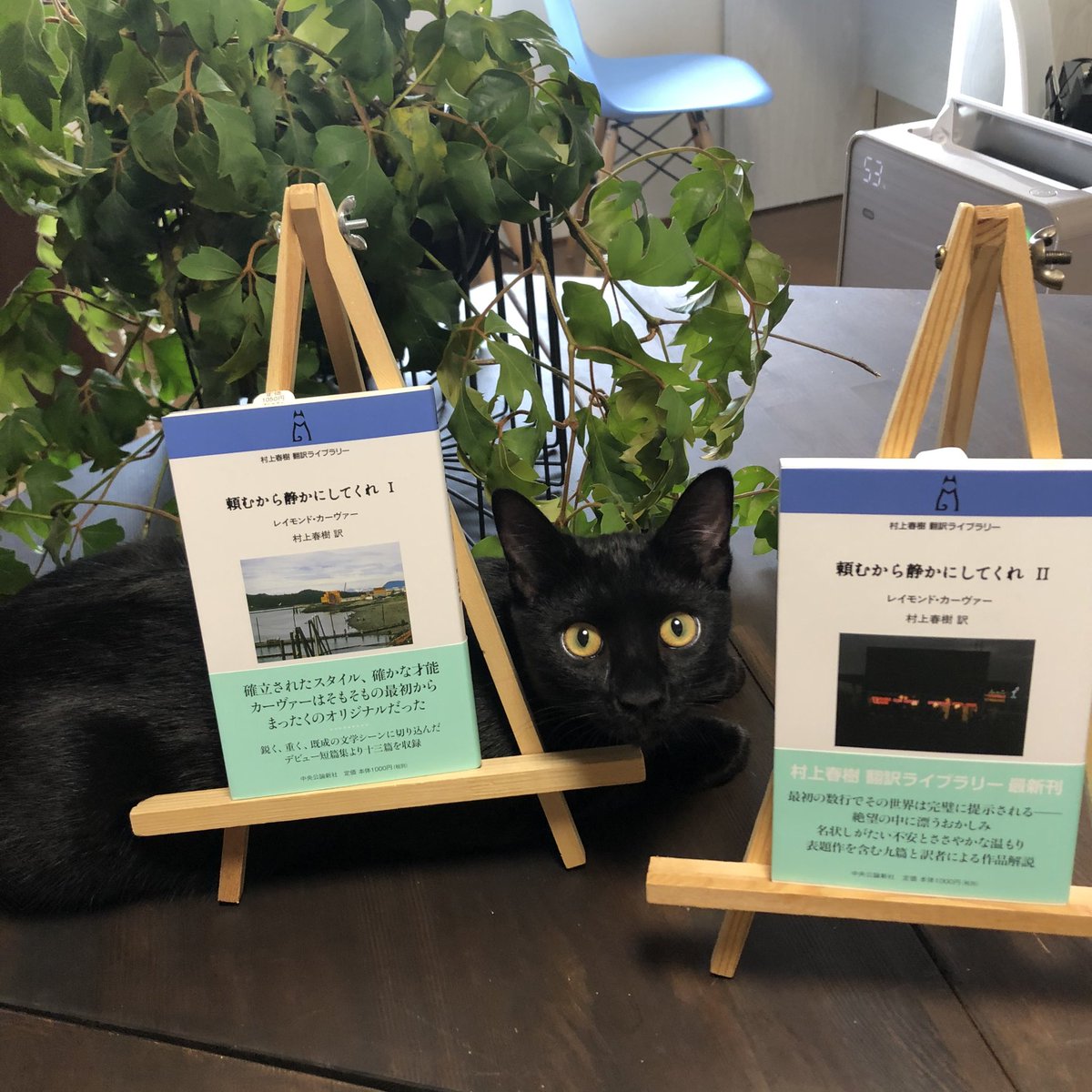 頼むから静かにしてくれ 頼むから静かにしてくれ