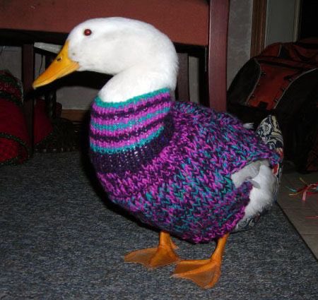 That’s it. Fuck this. I’m tweeting ducks wearing clothes from now on.
